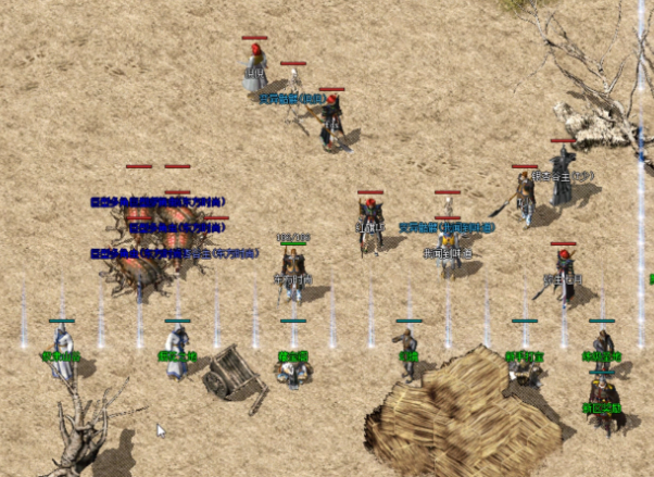 兵士血厚防高合适近战法师远程群攻输出强道士能奶能毒拿手辅佐