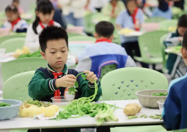 学段为阶依据不同年级孩子的认知特色设置梯度化劳作项目 学段为阶依据不同年级孩子的认知特色设置梯度化劳作项目